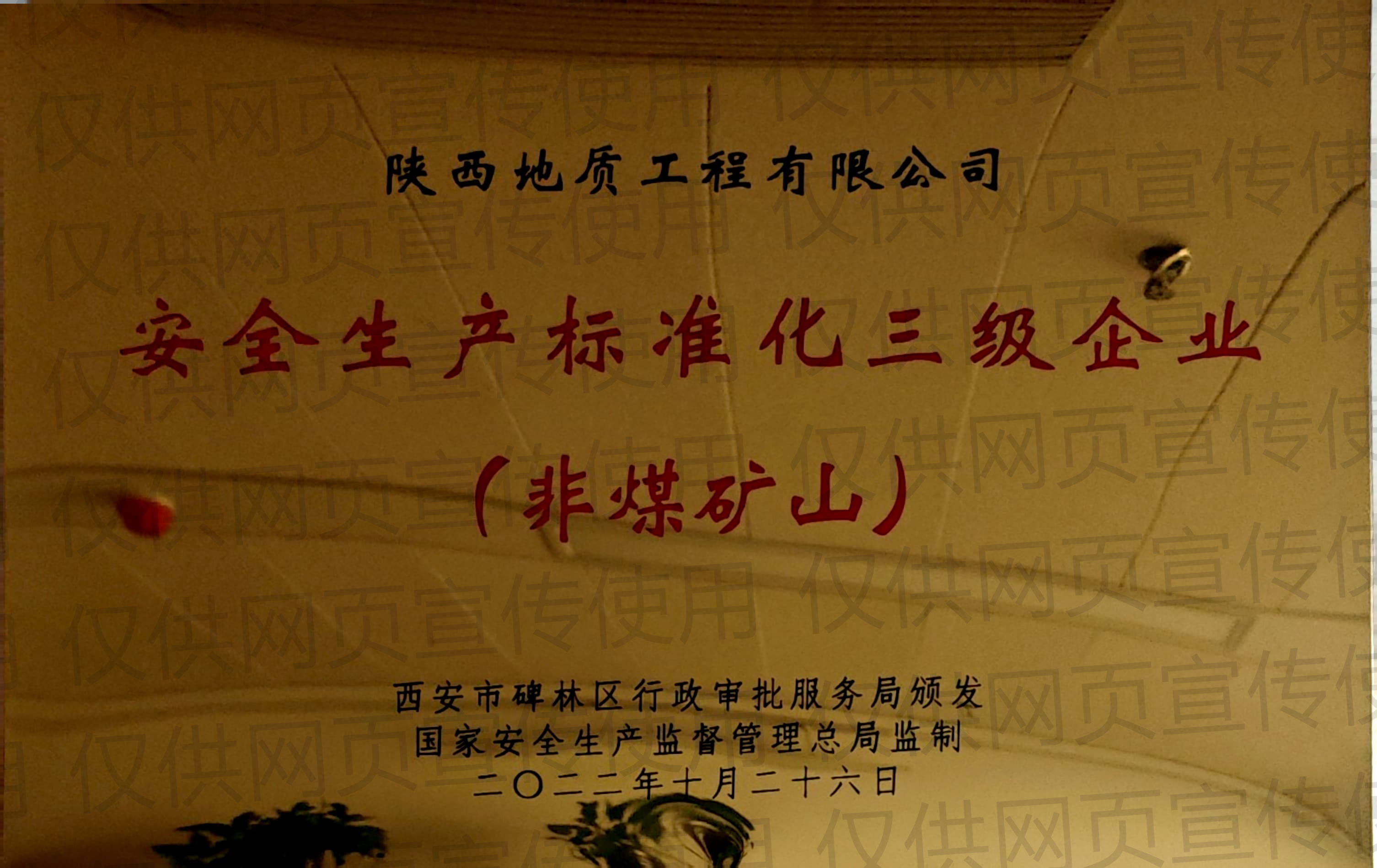 安全生產(chǎn)標準化